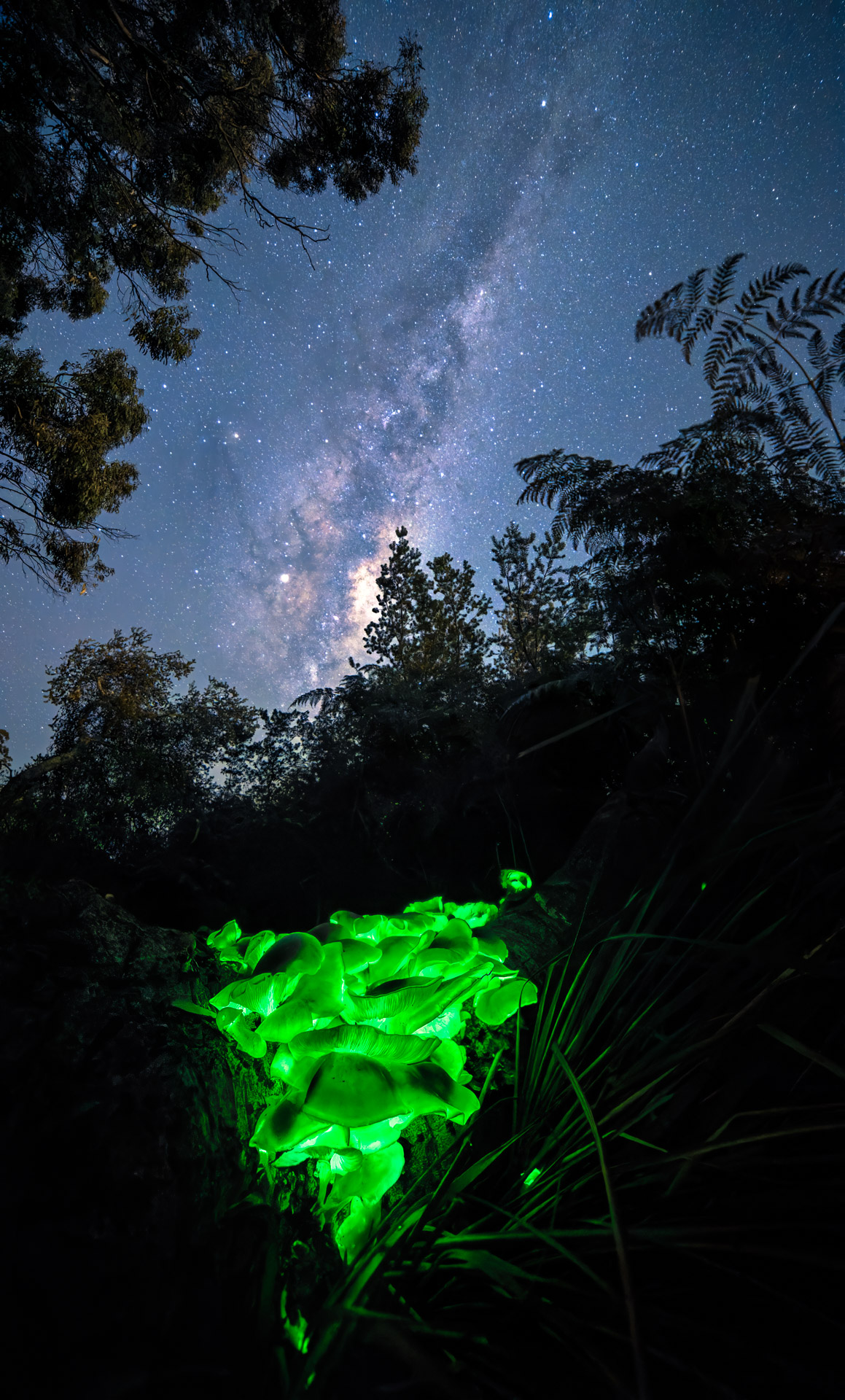 GALACTIC GHOST 25
